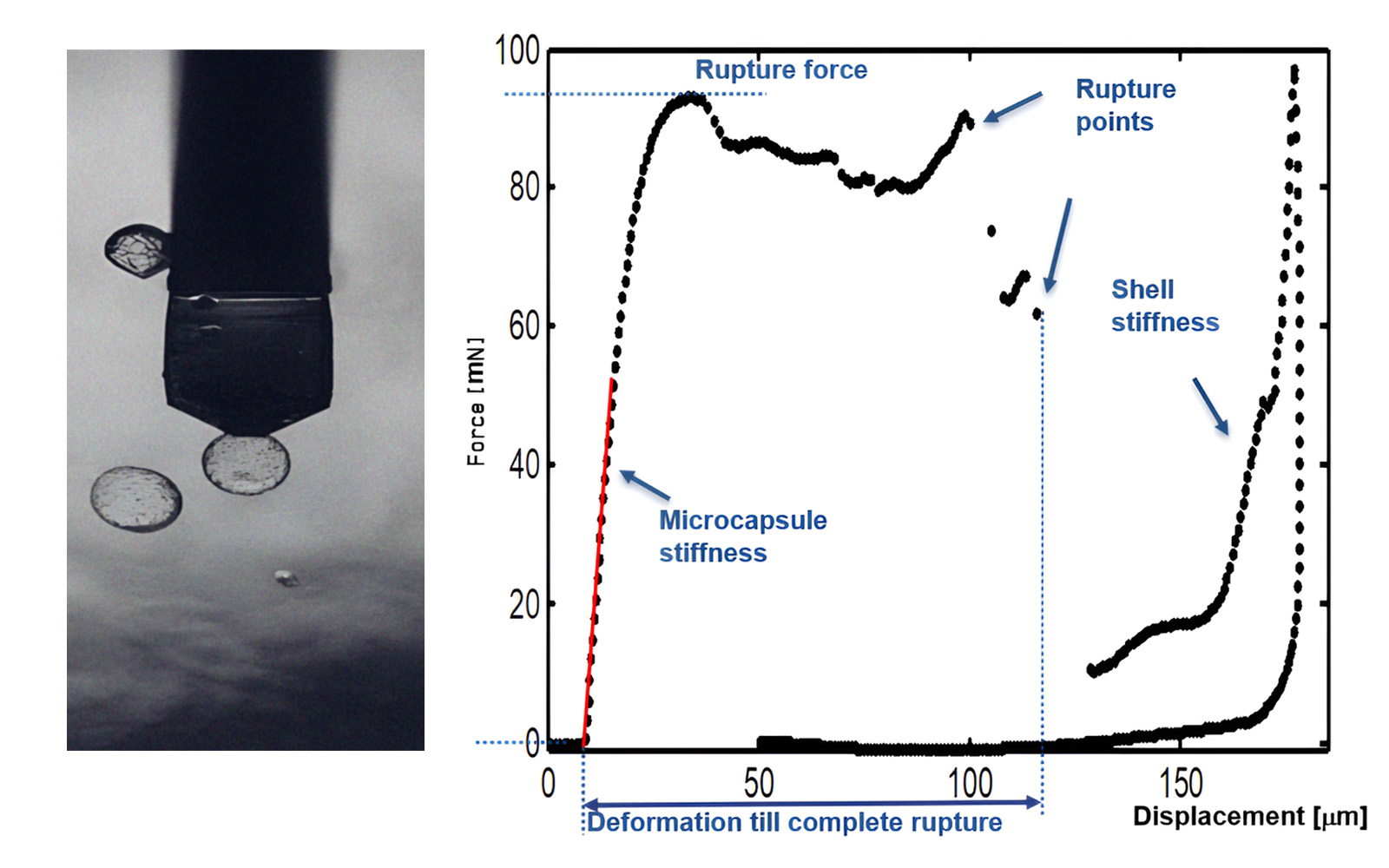 <p>Graph showing force-deformation relationship of a hydrogel microcapsule during a compression test, indicating stiffness and rupture points.</p>
