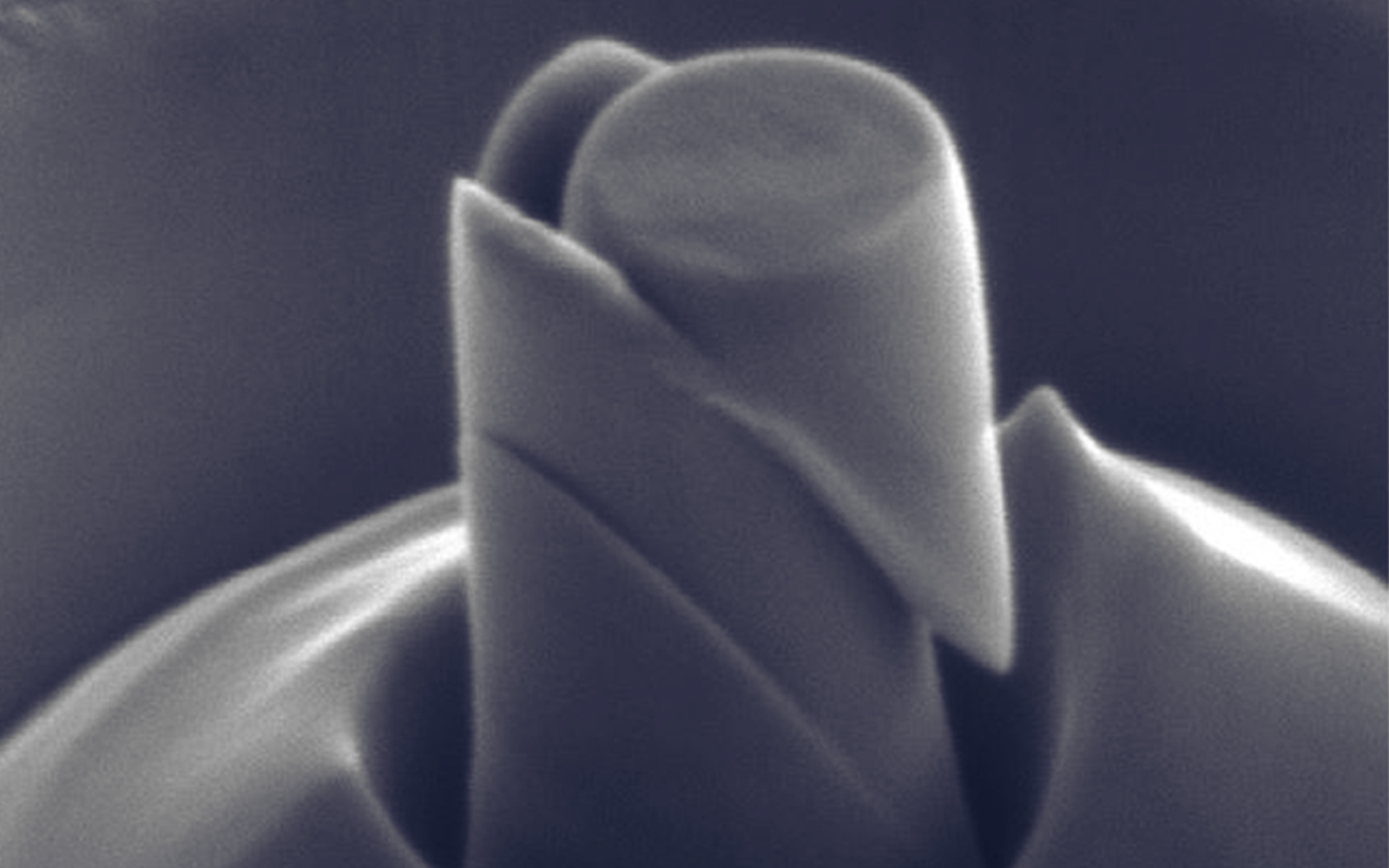 <p>Micro-pillar after compression in an SEM showing shear plane development.</p>