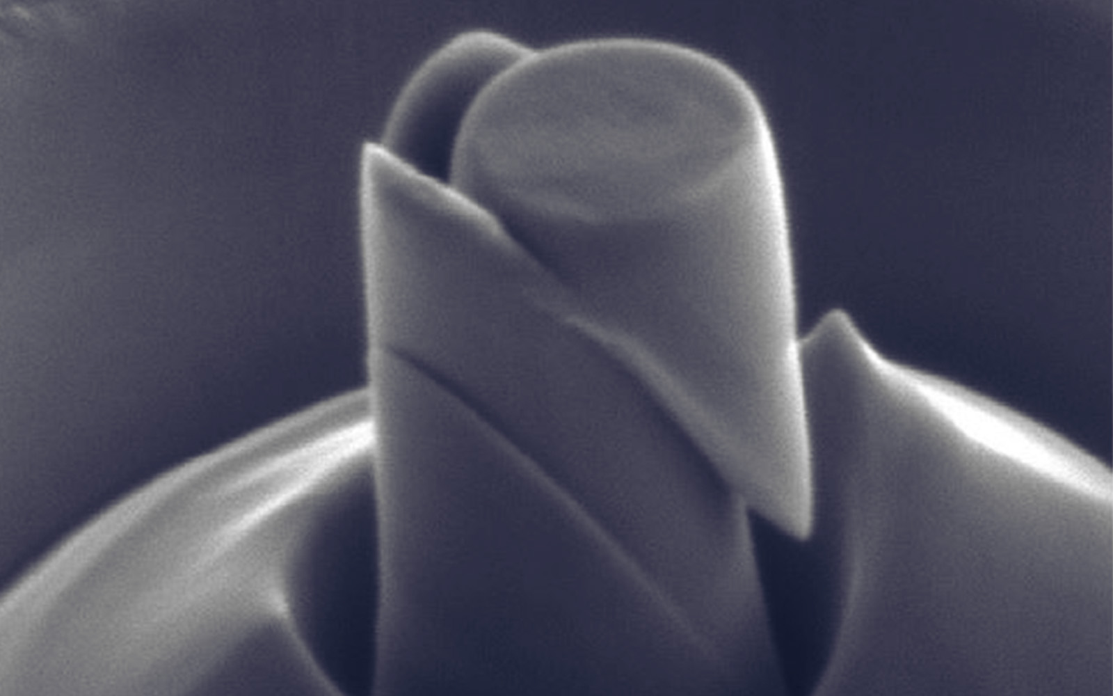 <p>Micro-pillar after compression in an SEM showing shear plane development.</p>