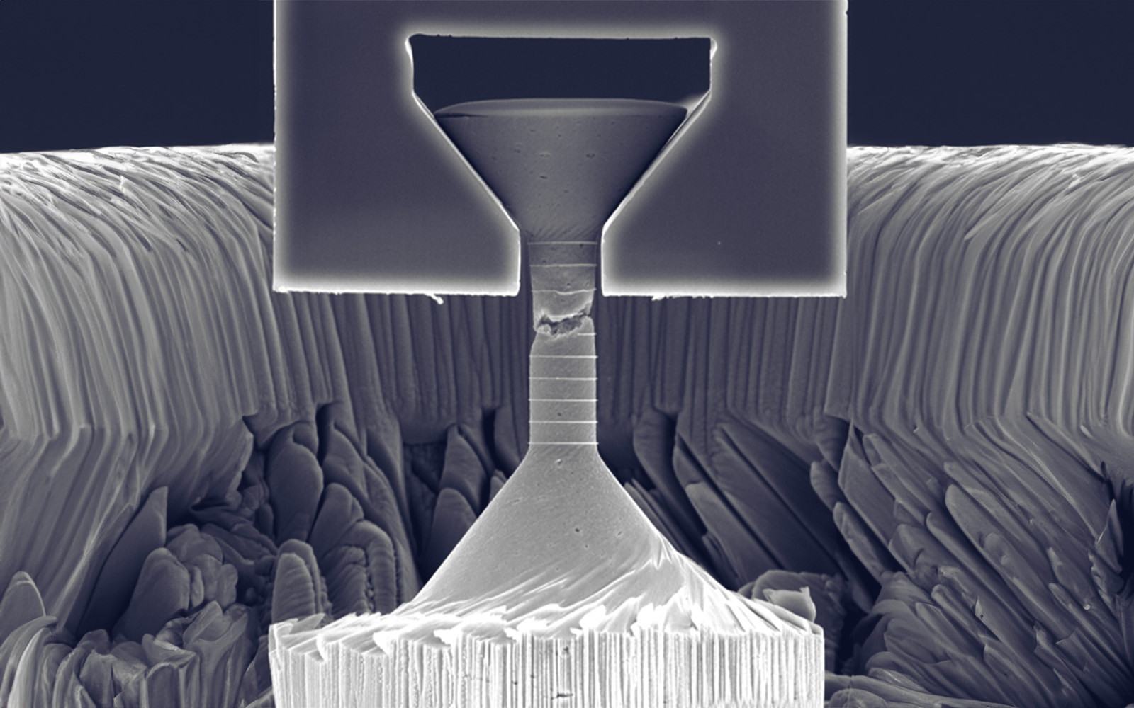 <p>SEM image of a post-fracture micro-tensile test specimen prepared by FIB.</p>