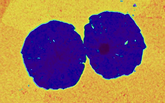 <p>Nanoindentation mapping of nodular cast iron structure, showing the usage of a hardness map obtained by nanoindentation a microscope.</p>