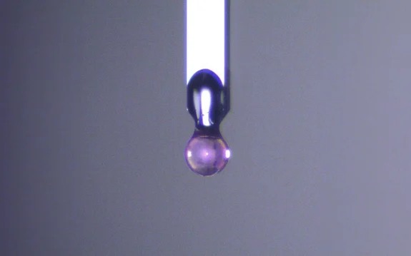 <p>Close-up of a spherical ruby indenter tip used for soft material characterization.</p>